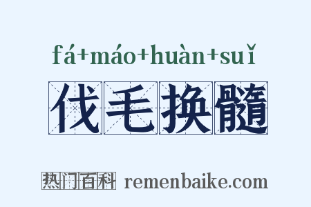 伐毛换髓是什么意思的图片